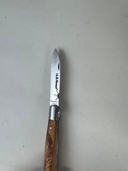 Set of 8 knives, 7 with wooden handles, most...