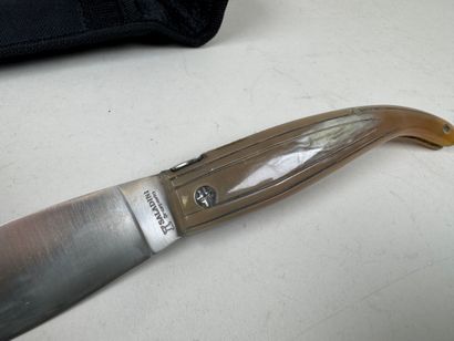 SALADINI.
Folding knife in horn and metal.
L....