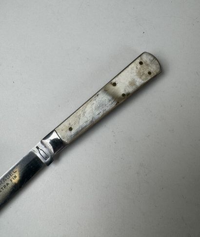 Set of 13 knives with horn, wood or mother-of-pearl...