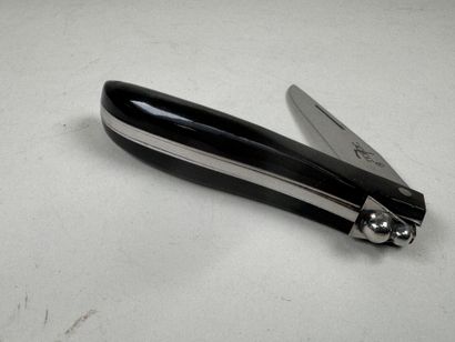 YAN PENNOR'S.
LAGUIOLE.
Folding knife in...