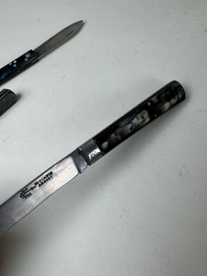 Set of 13 knives with horn, wood or mother-of-pearl...