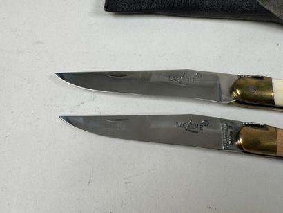 LAGUIOLE.
Two knives in wood and ivory.
L....
