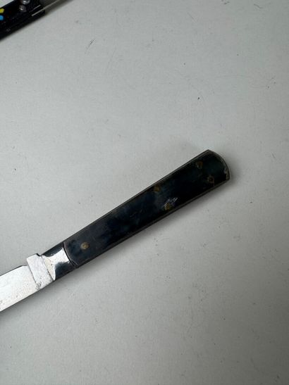 Set of 13 knives with horn, wood or mother-of-pearl...