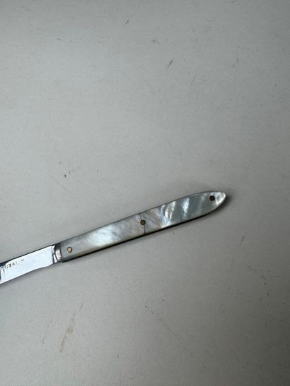 Set of 13 knives with horn, wood or mother-of-pearl...