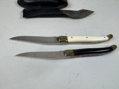 LAGUIOLE.
Two knives in wood and ivory.
L....