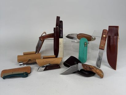 Set of 8 knives, 7 with wooden handles, most...