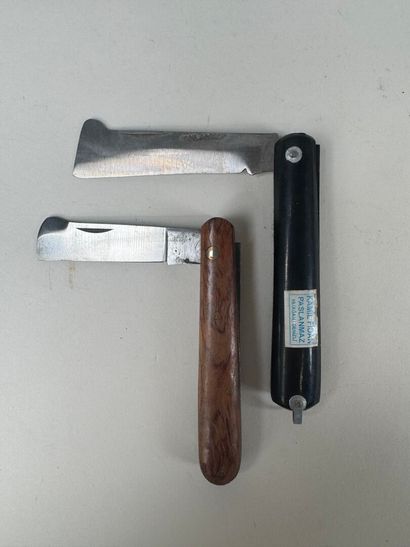 Set of 13 knives with horn, wood or mother-of-pearl...