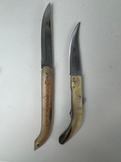 Set of 13 knives with horn, wood or mother-of-pearl...