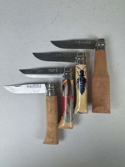 Set of 10 knives with wooden handles, including...