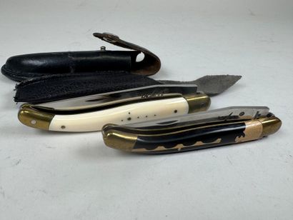 LAGUIOLE.
Two knives in wood and ivory.
L....