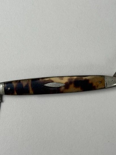 Pocket knife with tortoiseshell plates concealing...