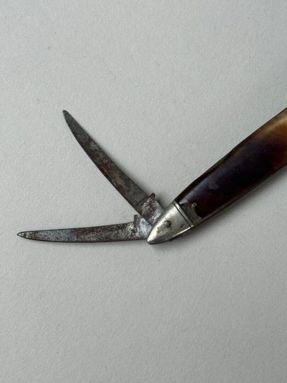 Pocket knife with tortoiseshell plates concealing...