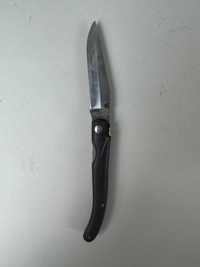 Set of 13 knives with horn, wood or mother-of-pearl...
