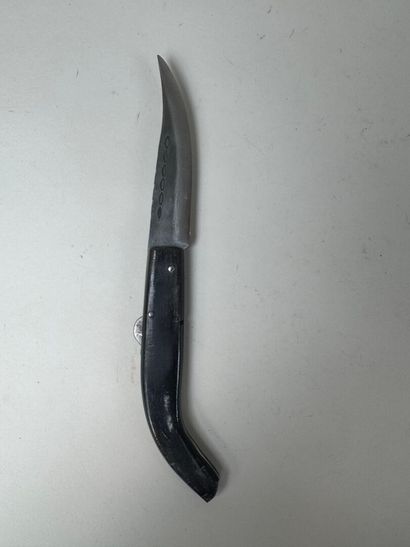 Set of 13 knives with horn, wood or mother-of-pearl...