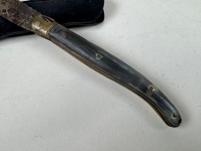 G. DAVID.
Laguiole knife in horn and metal.
L....