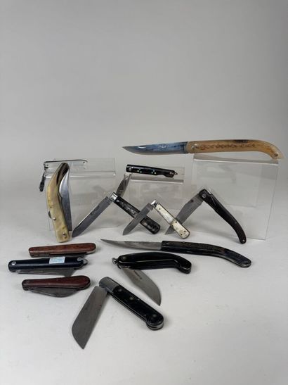 Set of 13 knives with horn, wood or mother-of-pearl...