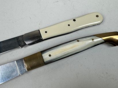 Two folding knives in horn and ivory, metal...