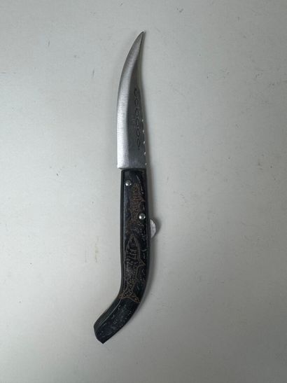 Set of 13 knives with horn, wood or mother-of-pearl...