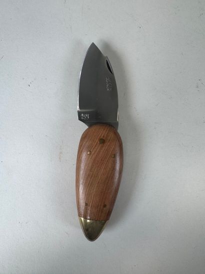 Set of 8 knives, 7 with wooden handles, most...