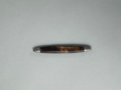Pocket knife with tortoiseshell plates concealing...
