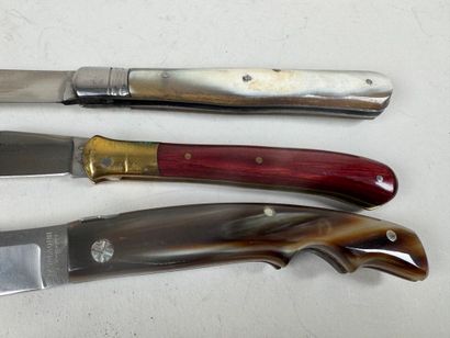 SALADINI - COLLAS - ...
Three knives in horn,...