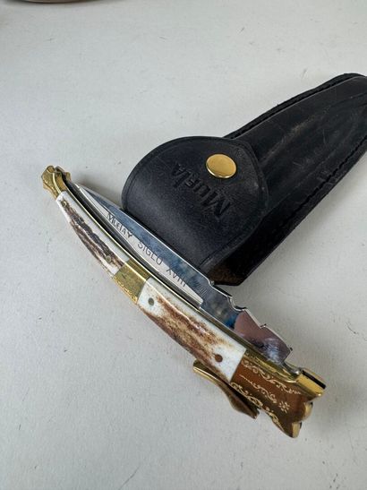 Set of 6 knives with horn and wood handles,...