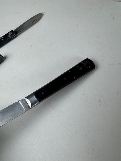 Set of 13 knives with horn, wood or mother-of-pearl...