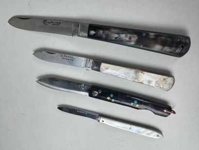 Set of 13 knives with horn, wood or mother-of-pearl...