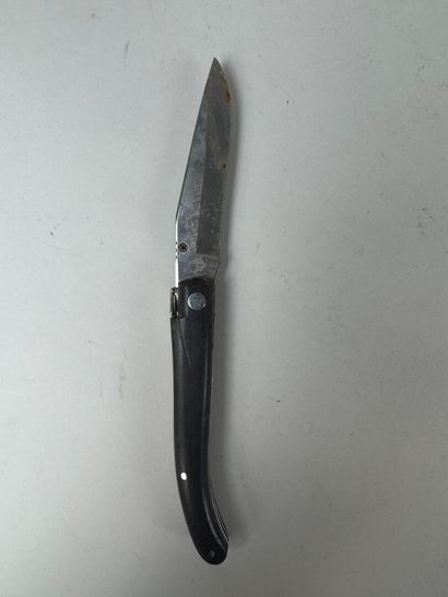 Set of 13 knives with horn, wood or mother-of-pearl...