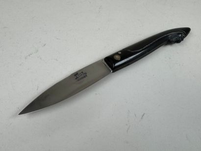 COGNET cutlery.
Folding knife carved with...