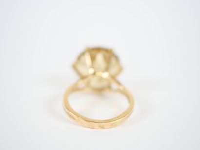 Important ring in 18K yellow gold centered...