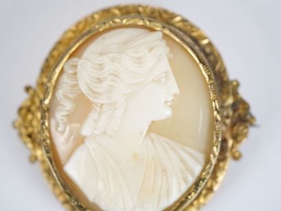 Oval gilt-metal brooch featuring a cameo...