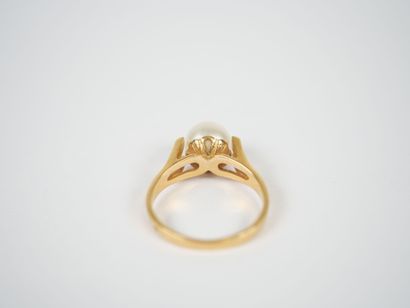 18K yellow gold ring centered with a cultured...