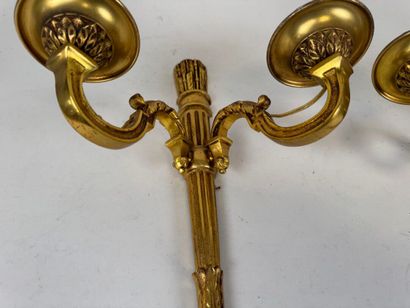 Paire d'appliques en bronze doré et ciselé...