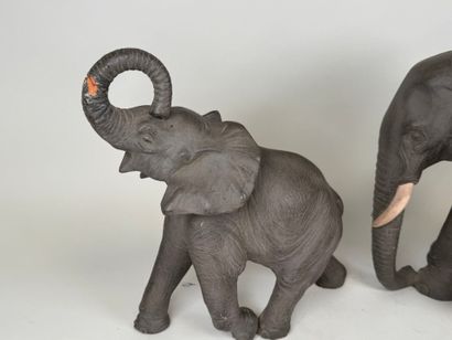 Georges DEMANGE (1865-1945). 
The elephant...