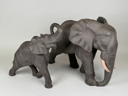 Georges DEMANGE (1865-1945). 
The elephant...