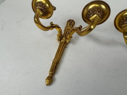 Paire d'appliques en bronze doré et ciselé...
