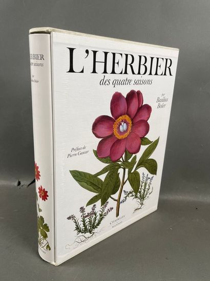 Basilius Besler, L'herbier des quatre saisons....