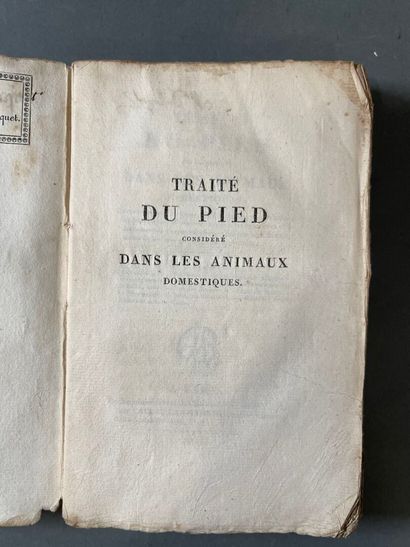 Traité du Pied Considéré dans les Animaux...