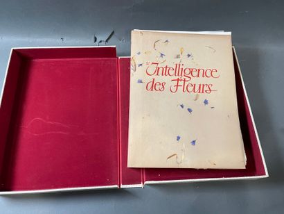Maurice Maeterlinck, L'Intelligence des fleurs....