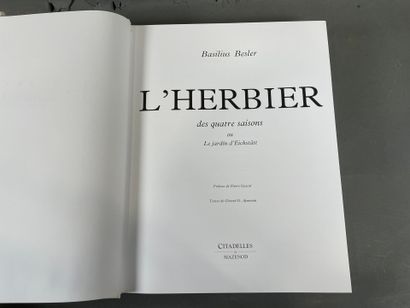 Basilius Besler, L'herbier des quatre saisons....