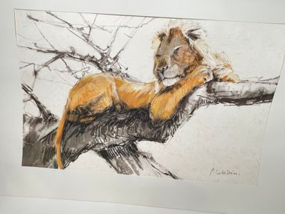 Pierre Letellier, Le Lion [by Joseph Kessel]
Suites...