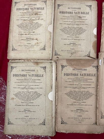 Large set of color engravings for Orbigny's...