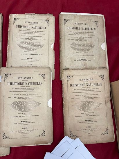 Large set of color engravings for Orbigny's...