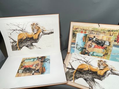 Pierre Letellier, Le Lion [by Joseph Kessel]
Suites...