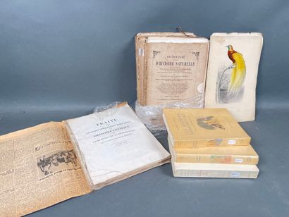 Large set of color engravings for Orbigny's...