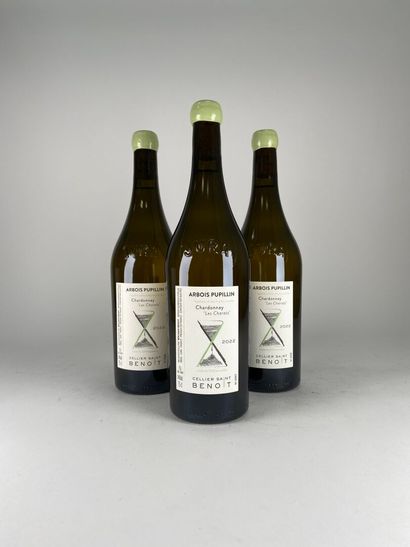 ARBOIS PUPILLIN BLANC.
Cellier Saint Benoit.
Les...