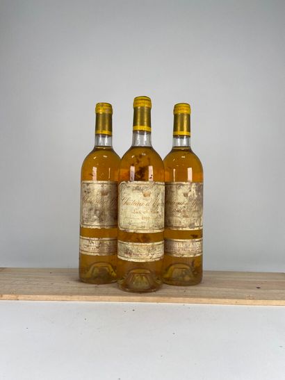 SAUTERNES. 1er CCS.
Château d'Yquem.
1981....