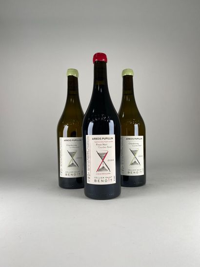ARBOIS PUPILLIN.
Cellier Saint Benoit :

La...