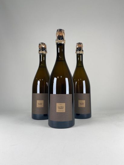 CHAMPAGNE.
Bourgeois-Diaz.
Pinot Noir Brut...